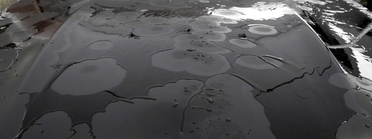 Reference photo of dull, pooled water on an unwaxed black car panel